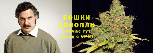MESCALINE Лабытнанги