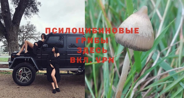 Альфа ПВП Ладушкин